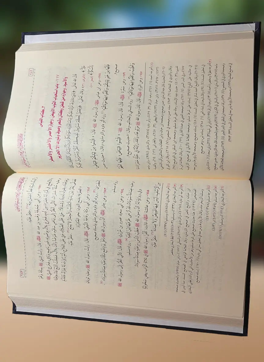 Riyad as-Salihin - An-Nawawi 