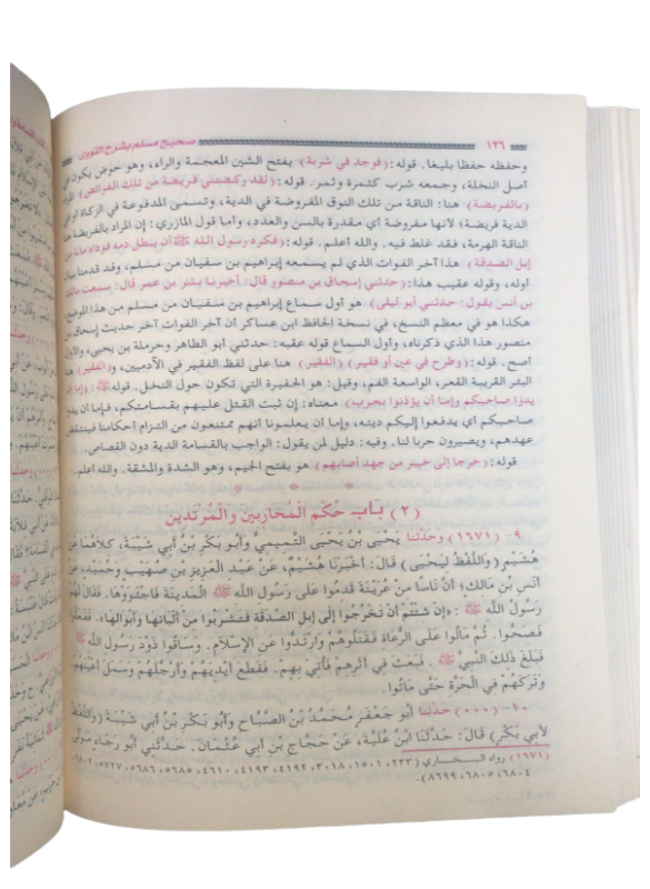 صحيح مسلم (شرح النووي)