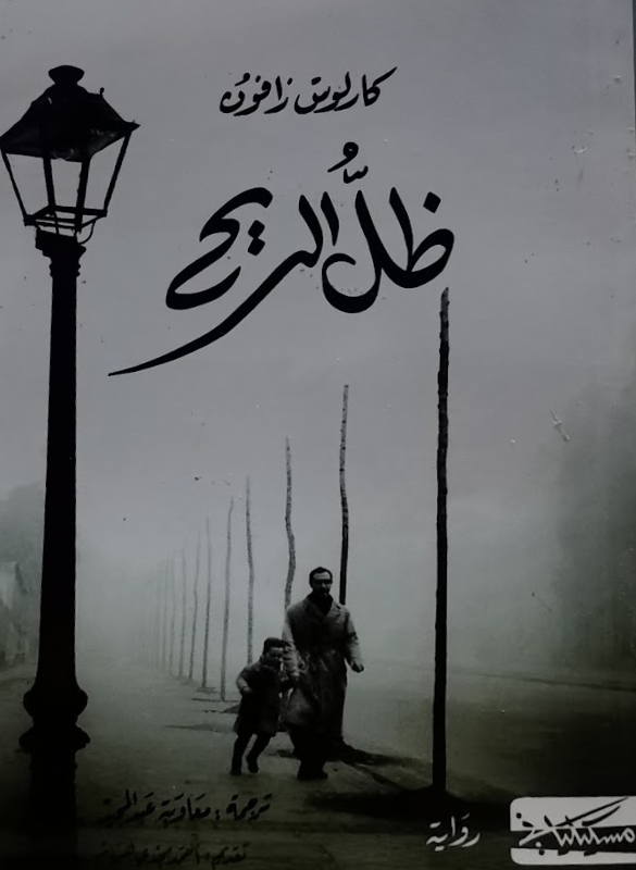 The shadow of the wind 